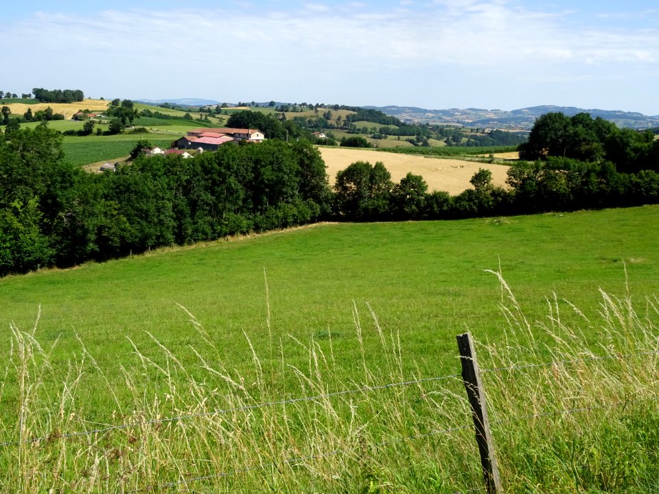 Entre le Bas Cluzel, La Brosse, Le Cry et Grammond, monts … 