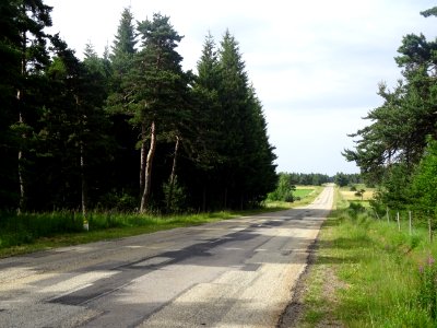Entre Coucouron et Pradelles, la D110 traverse le Bois de … 