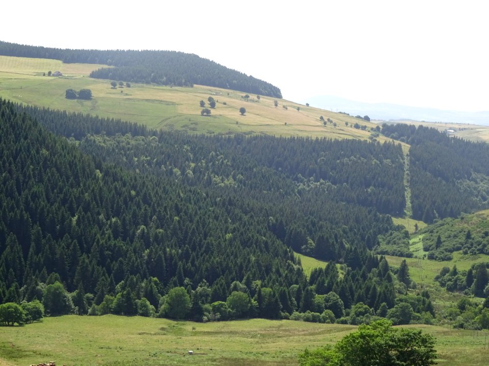 Prairies et forêt de Museran, plus très loin de la chartre… 