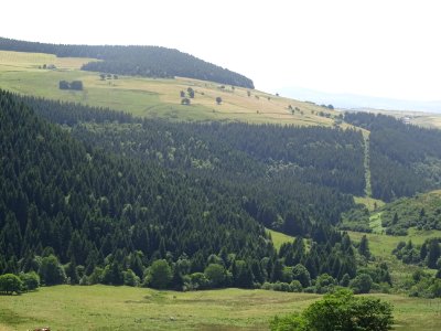 Prairies et forêt de Museran, plus très loin de la chartre… 