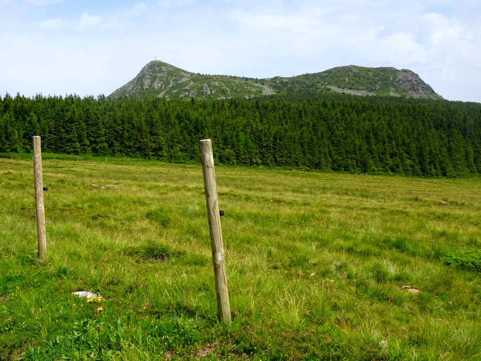Forêt et Mont Mézenc, à la limite de la Haute-Loire et de … 