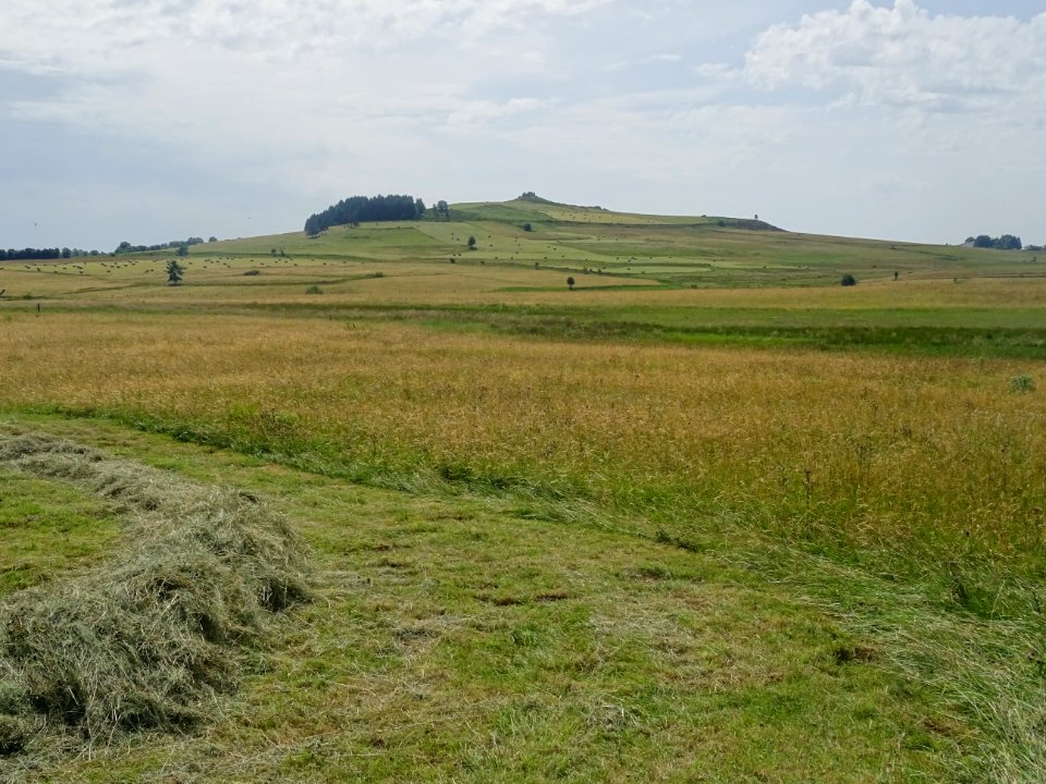 Vers Fay-sur-Lignon, paysage typique de Haute-Loire 