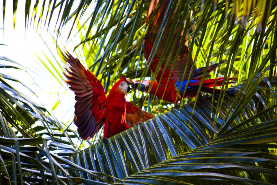 Color colorful outdoor