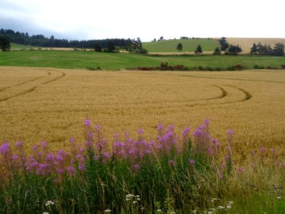 DSC05808 