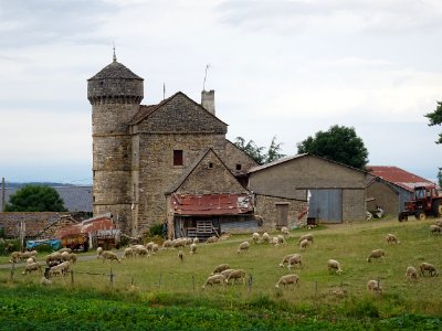 Ferme fortifiée du Choizal, sur le Causse de Sauveterre, L… photo