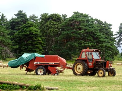 Un tracteur et sa moissonneuse-batteuse, Choizal, sur le C… 
