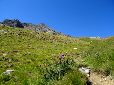 DSC08419 