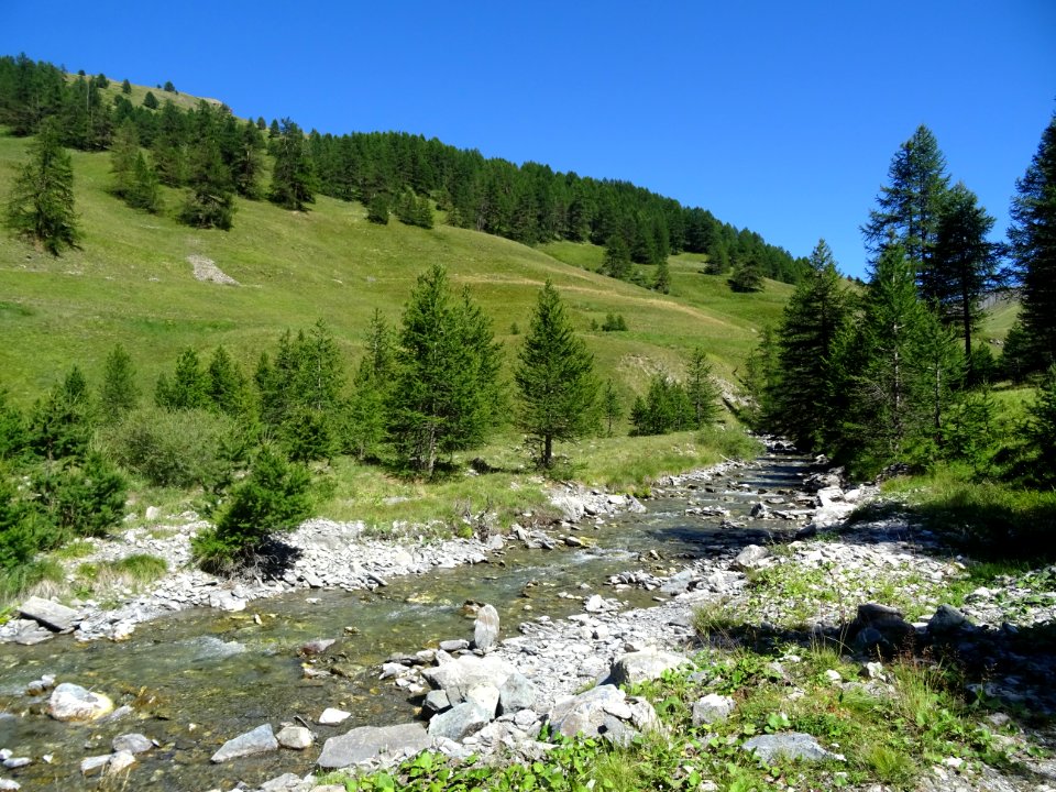 Le torrent de la Cerveyrette 