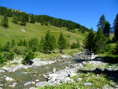 Le torrent de la Cerveyrette 