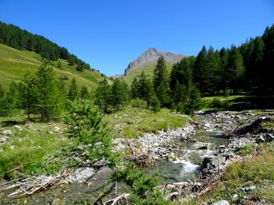 Le torrent de la Cerveyrette et le Pic Lombard 