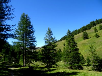 DSC08697 