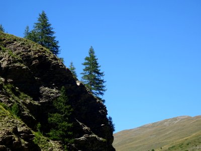 DSC08647 