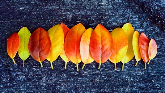 Colors october season
