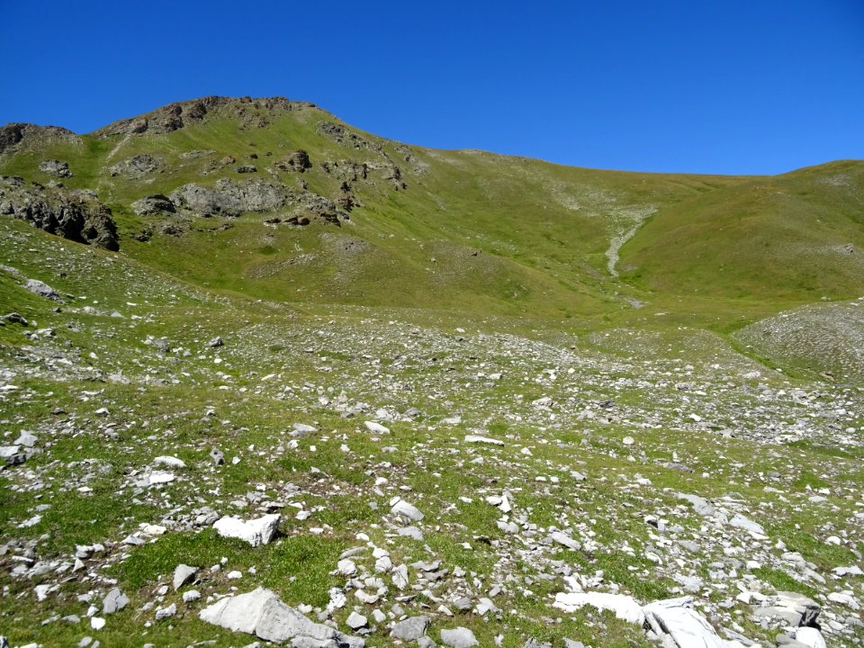 Immense prairie, le Ravin des Coutiers 