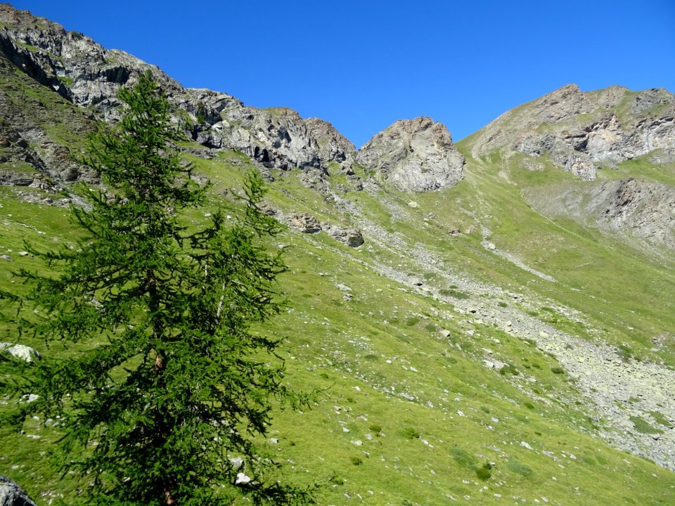 DSC08375 