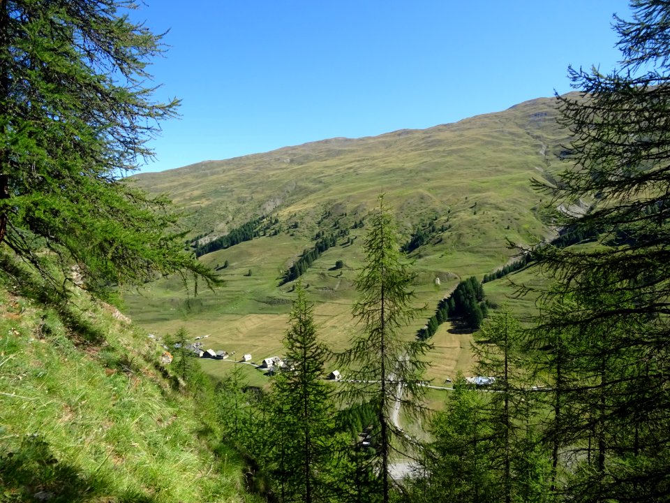 A gauche, fin de Les Chalps, derrière les mélèzes : Le B… 
