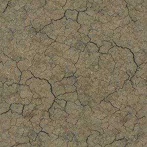 Dry land texture