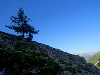 DSC08838 