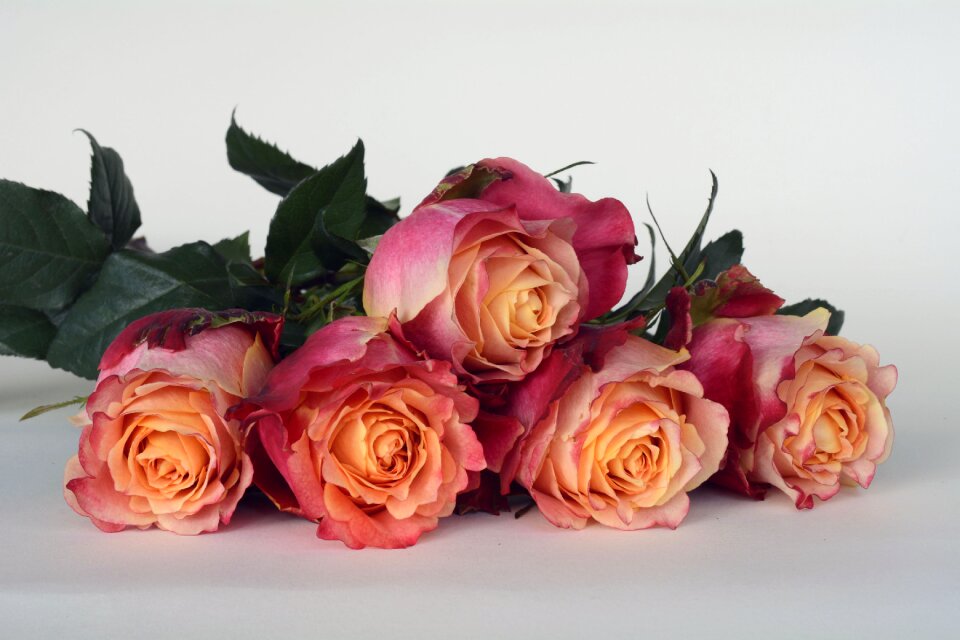 Romantic love fragrance