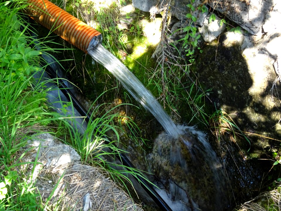 Le ruisseau au bout du terrain 