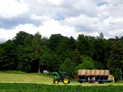 Ramassage des bottes de foin, St-Régis-du-Coin, Loire 