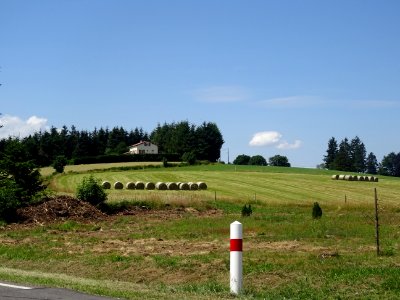 DSC05227 