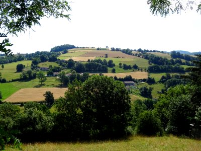 DSC05113 
