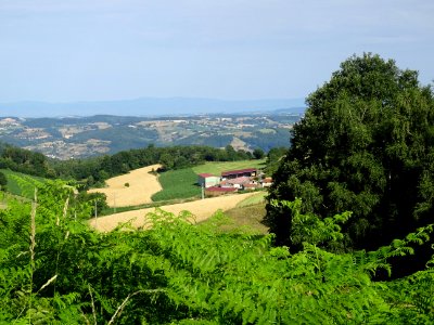 Prairies, bois et cultures, monts du Lyonnais entre Yzeron… 