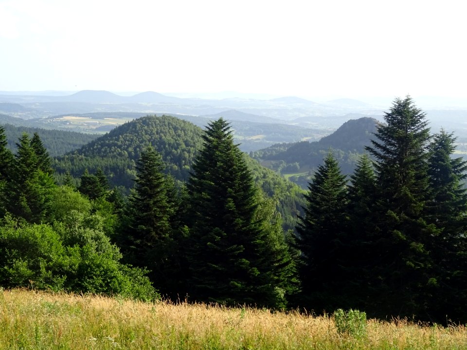 Paysage de sucs, près du Villaret, St-Julien-de-Chapteuil,… 
