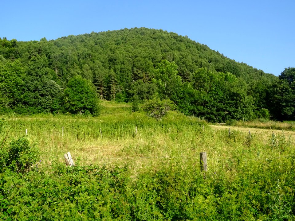 DSC05447 