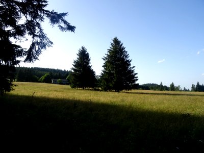 DSC05435 