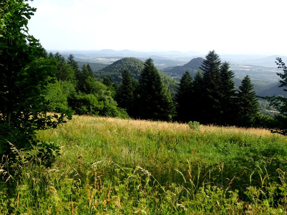 Paysage de sucs, près du Villaret, St-Julien-de-Chapteuil,… 