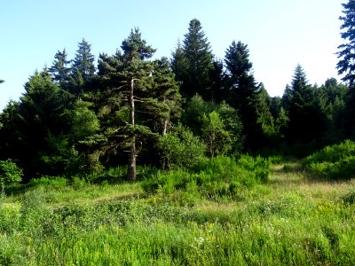 DSC05427 