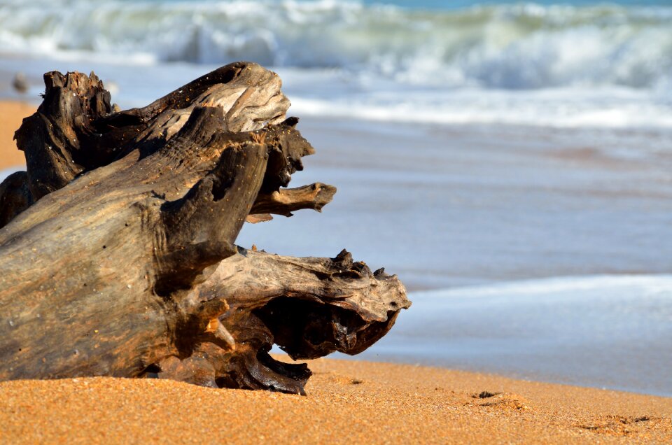 Waves coast nature