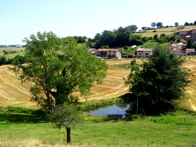 Vue sur un petit étang, Grammond, Loire 