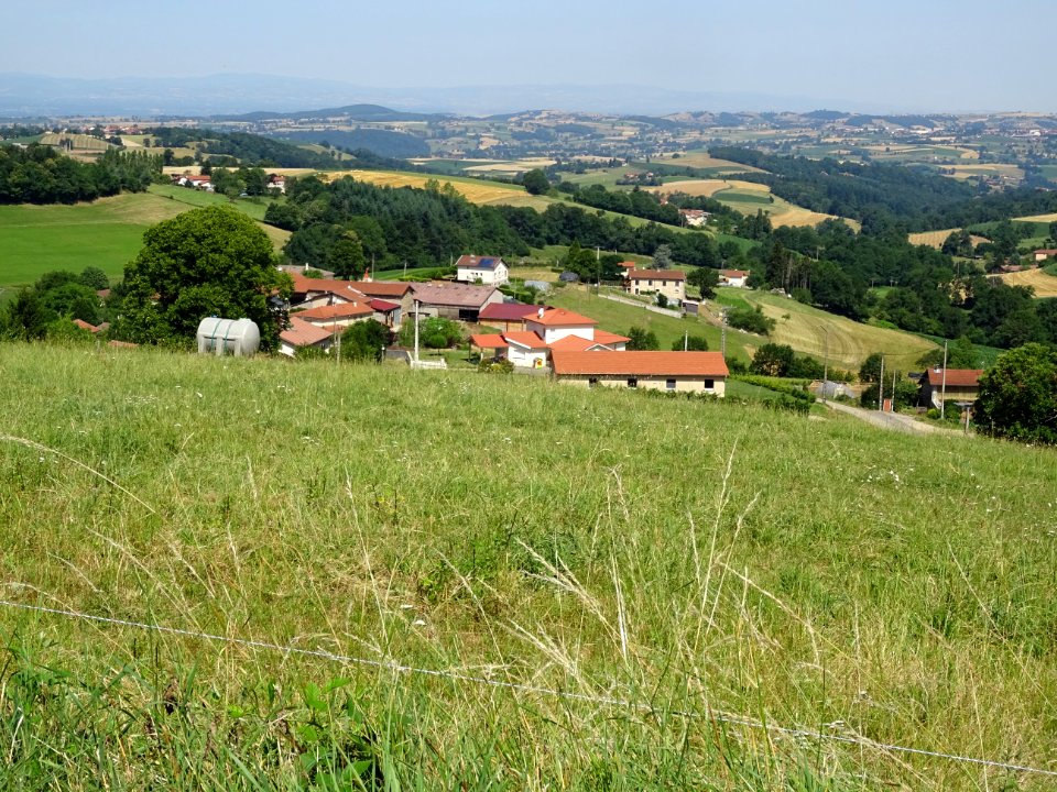 Entre le Bas Cluzel, La Brosse, Le Cry et Grammond, monts … 
