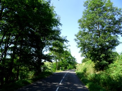 Vers le Bas Cluzel, commune de St-Desnis-sur-Coise, Loire 