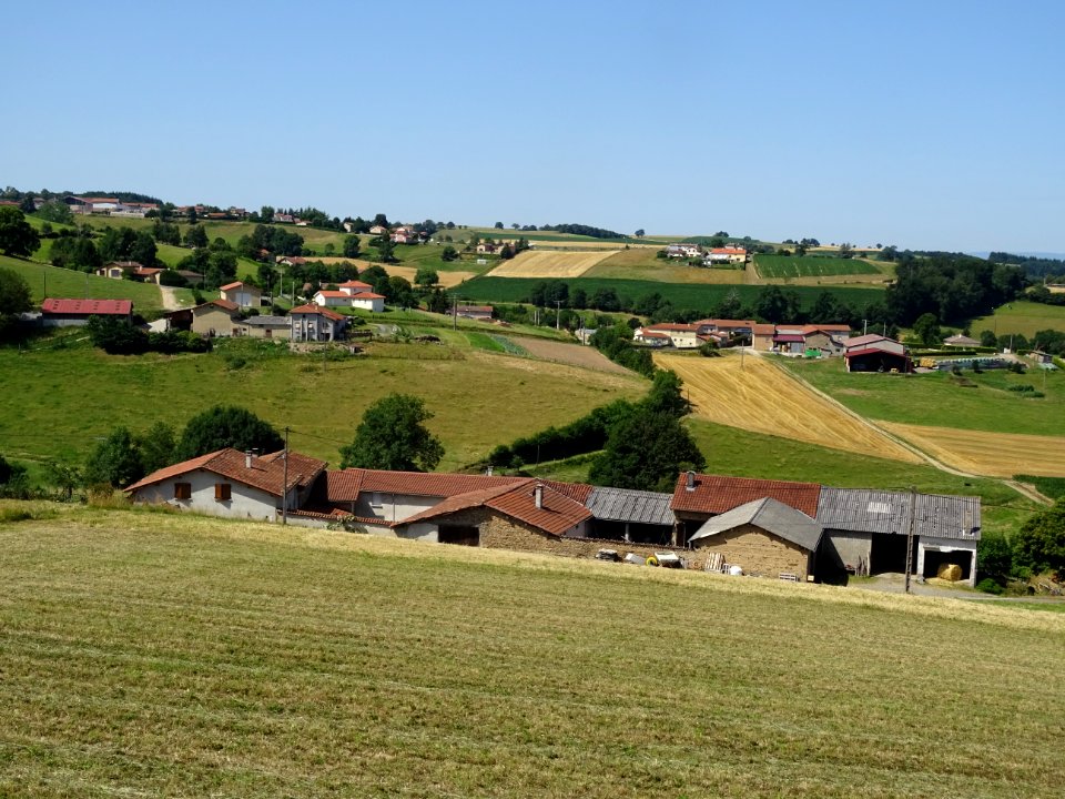 Entre le Bas Cluzel, La Brosse, Le Cry et Grammond, monts … 