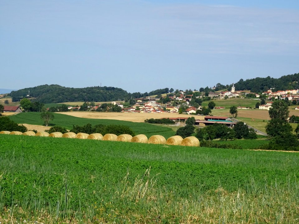 Vue vers Chazelles-sur-Lyon, Loire 