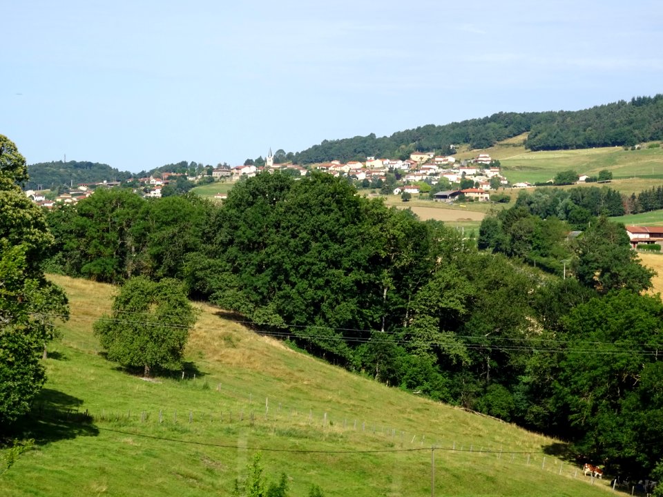 Vue vers Chazelles-sur-Lyon, Loire 