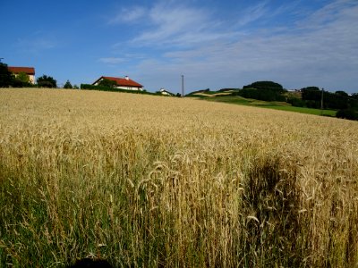 DSC05063 