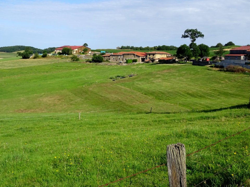 Lieu-dit Le Plat, depuis la descente vers St-Symphorien-… 