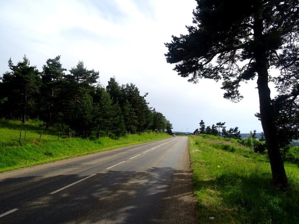 Entre Coucouron et Pradelles, la D110 traverse le Bois de … 