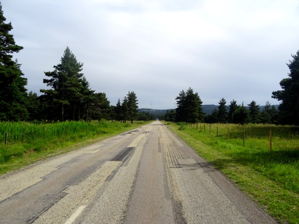 Entre Coucouron et Pradelles, la D110 traverse le Bois de … 