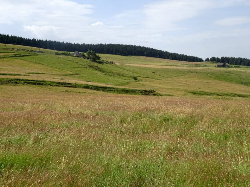 En me retrournant, prairies d'altitude et habitat isolé, A… 