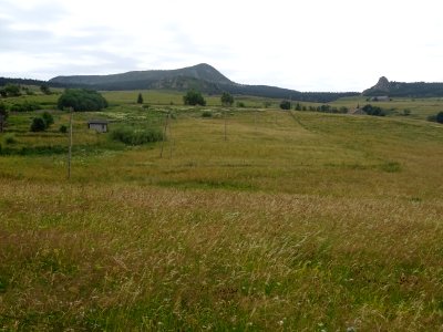 En allant vers le Mont Mézenc, Haute-Loire 