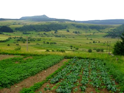 Jardin potager, immense prairies et Mont Mézenc, Haute-Loi… 