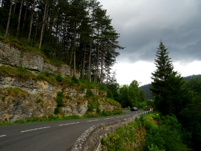 Falaise et pins au bord de la D986, avant d'attaquer la ru… 