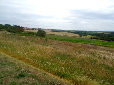Dernières prairies et surfaces cultivées avant d'entrer da… 