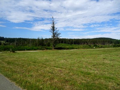 Parc Naturel Régional du Haut Languedoc, forêt domaniale d… 